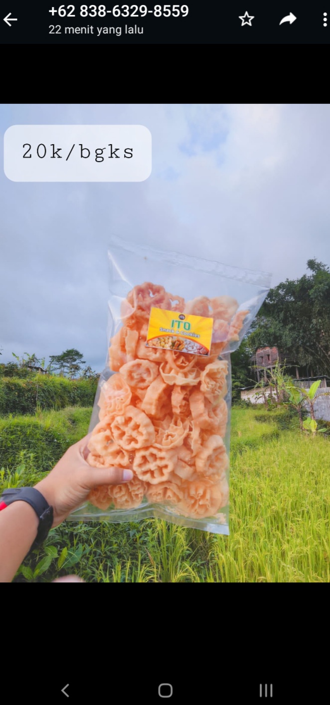 Kembang goyang
