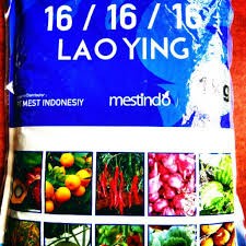 Mutiara Lou Ing