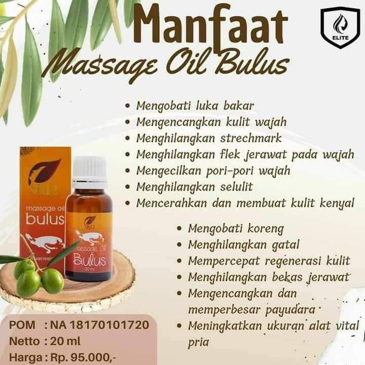Minyak bulus