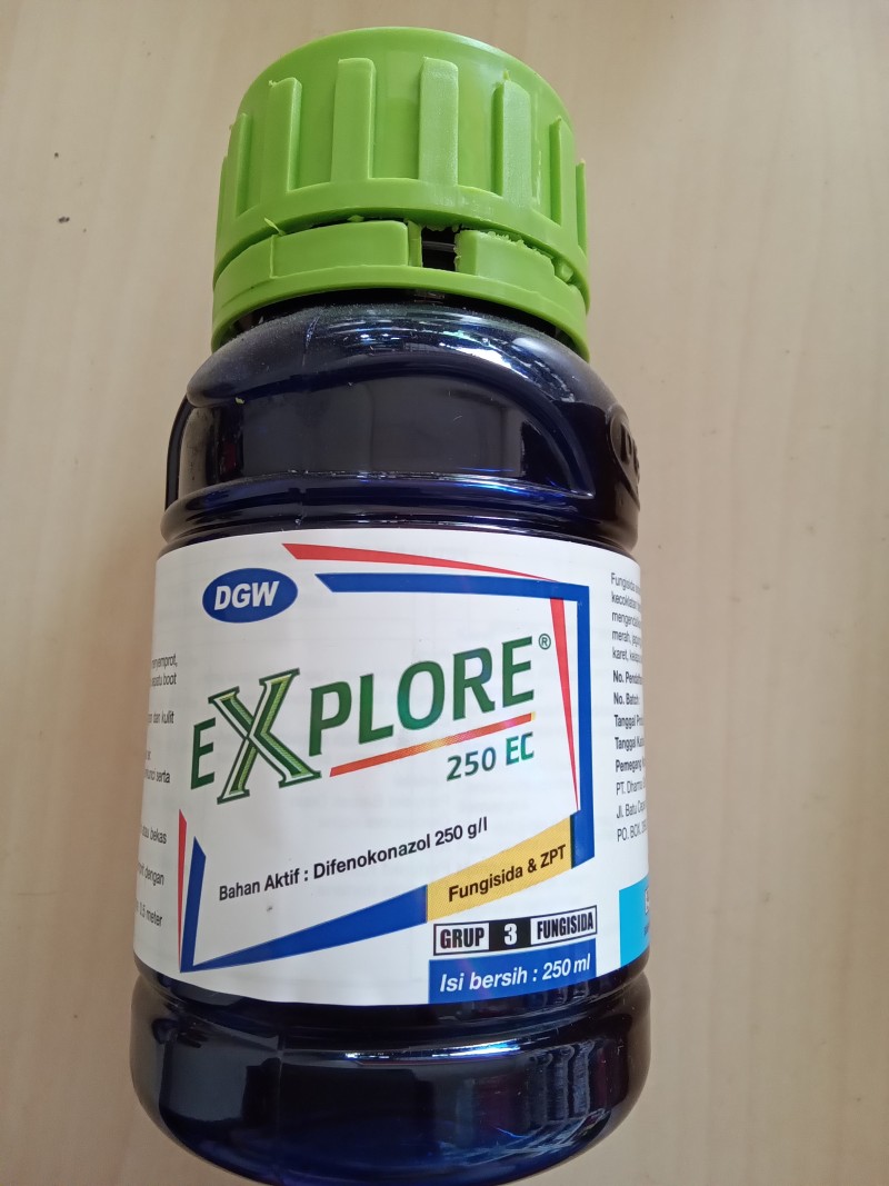 Explore 250 EC