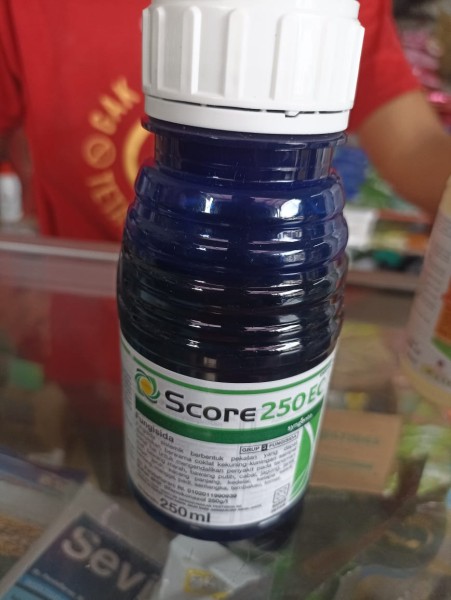 SCORE 250 EC