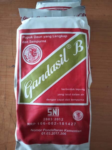 Gandasil buah 500gr