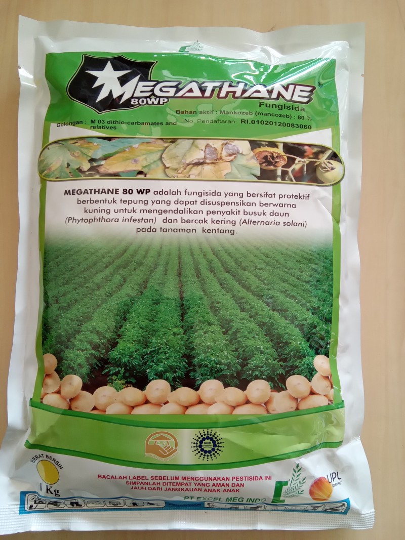 Megathane