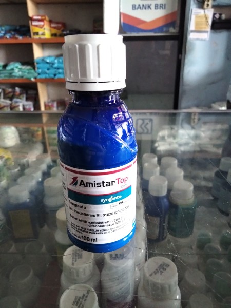 amistar top