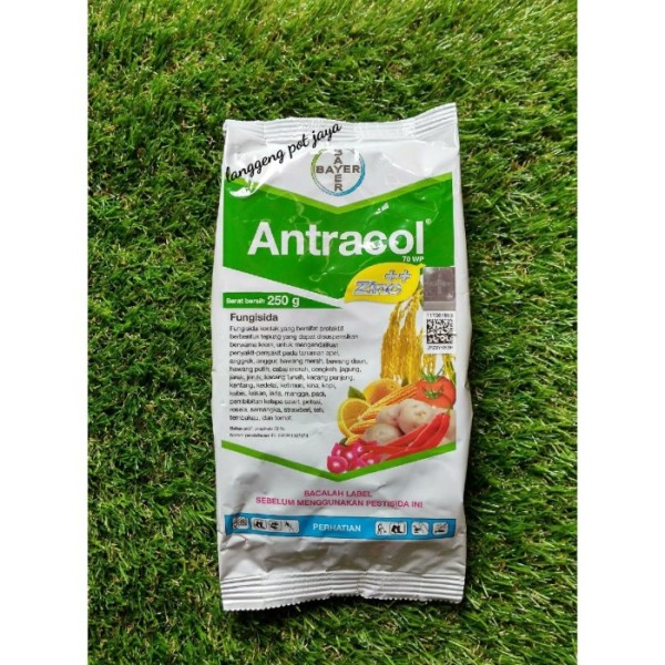 Antracol Zink ++