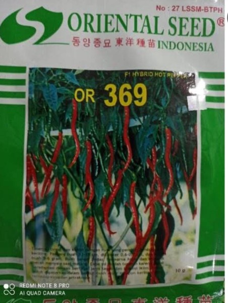 BIJI CABAI OR 369