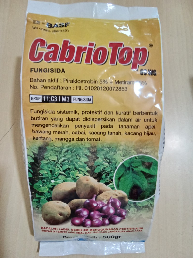 Cabrio Top 60wG