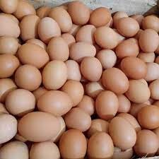 Telur 1kg