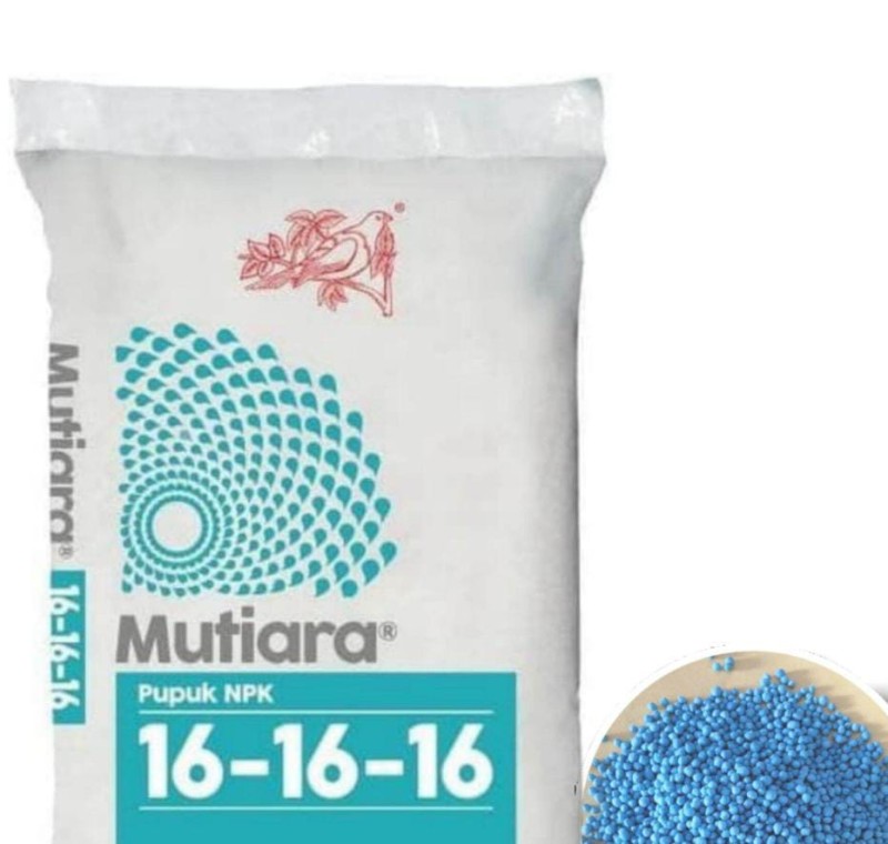Mutiara zara