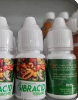 gibracid