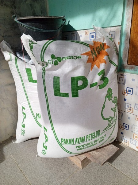 Pakan ayam petelur