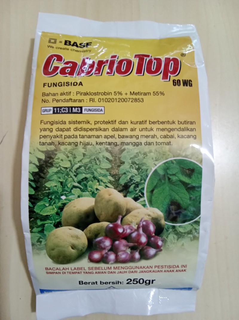 Cabrio Top 60wG