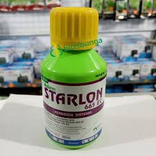 STARLON 100ML