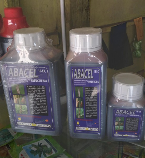 ABACEL TANGGUNG