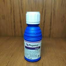 PEGASUS 80ML