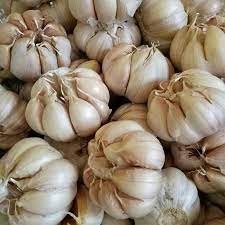 Bawang putih 1kg