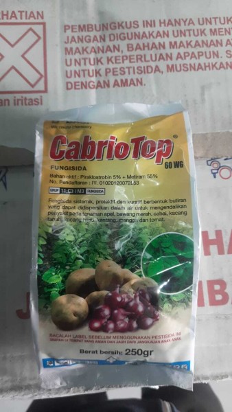 CABRIO TOP 250 GRAM
