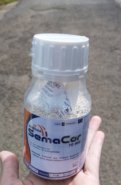 Sema core