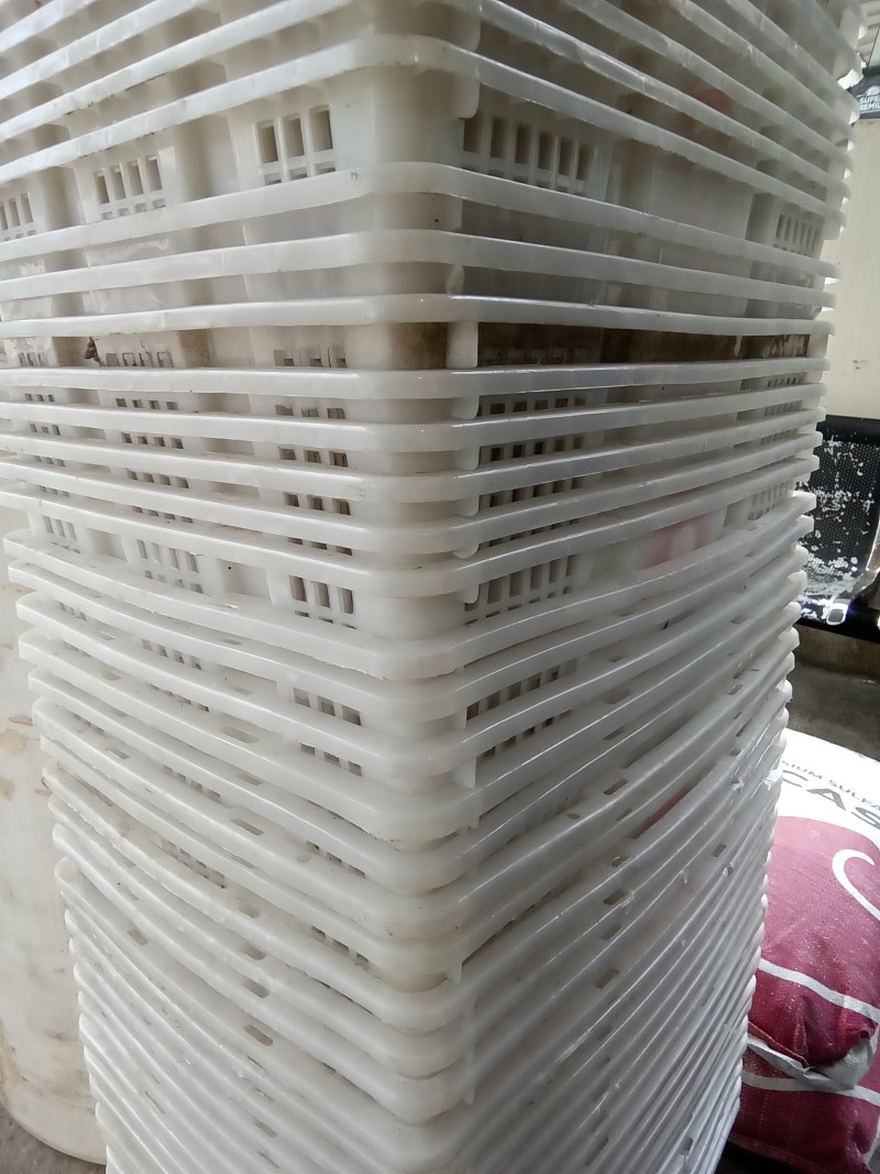Krat plastik