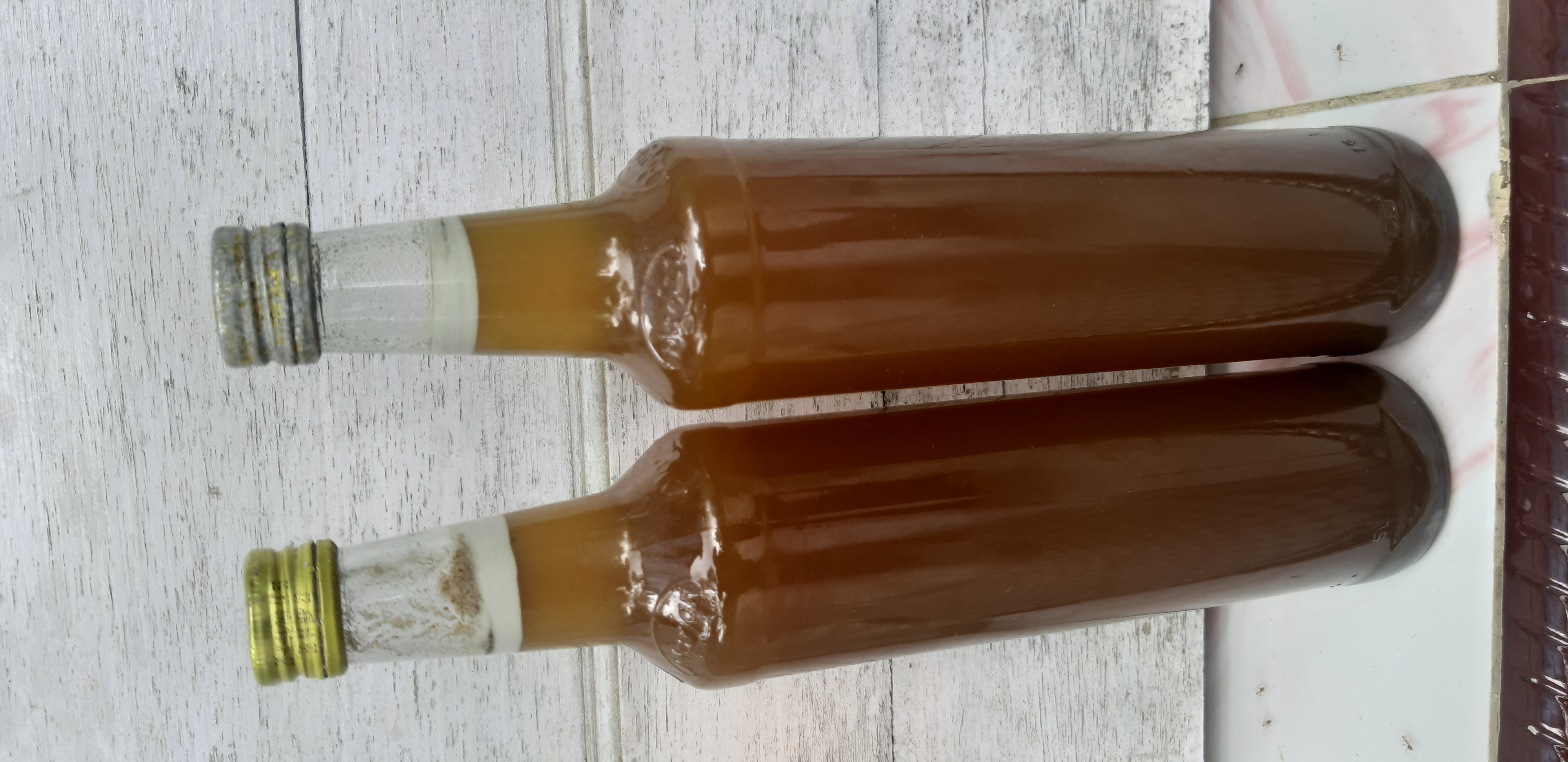 Madu Lebah Asli