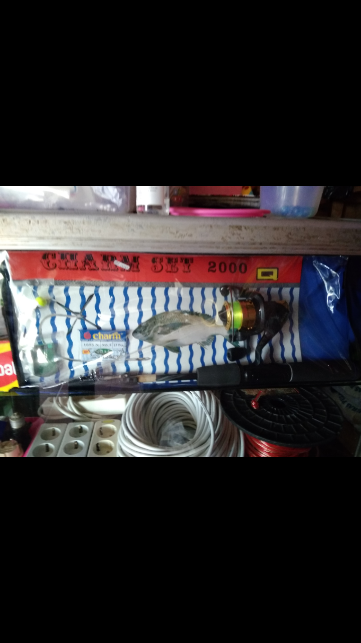 Pancing