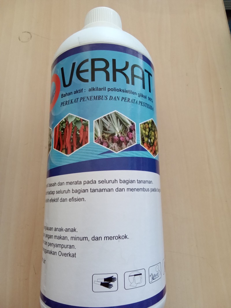 Overkat