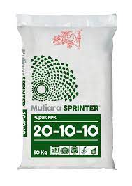 Mutiara springter