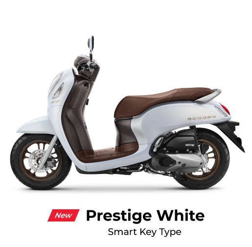 New Scoopy smart key