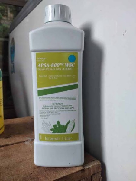 Perekat apsa