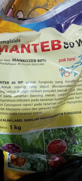 Mantap