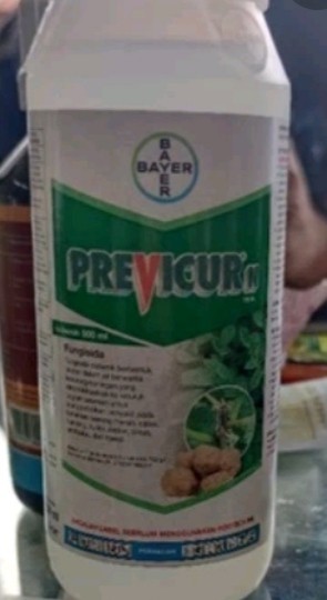 Privecur