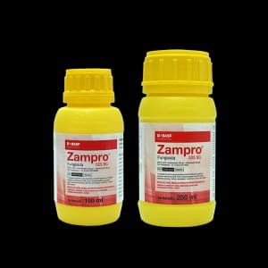 ZAMPRO 525 SC