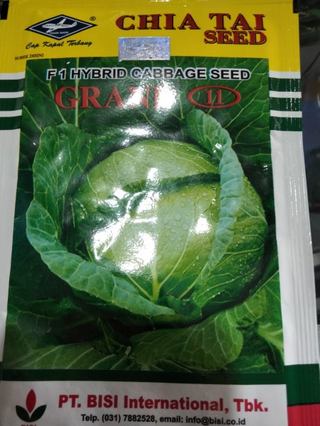 grand 11