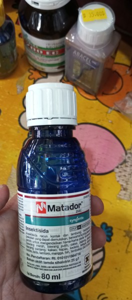 Matador