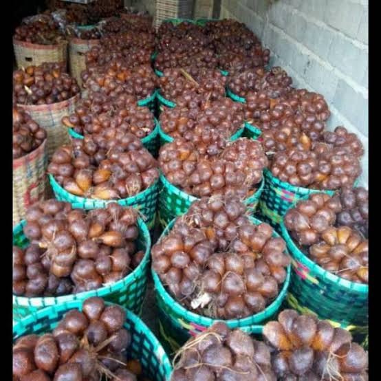 Salak