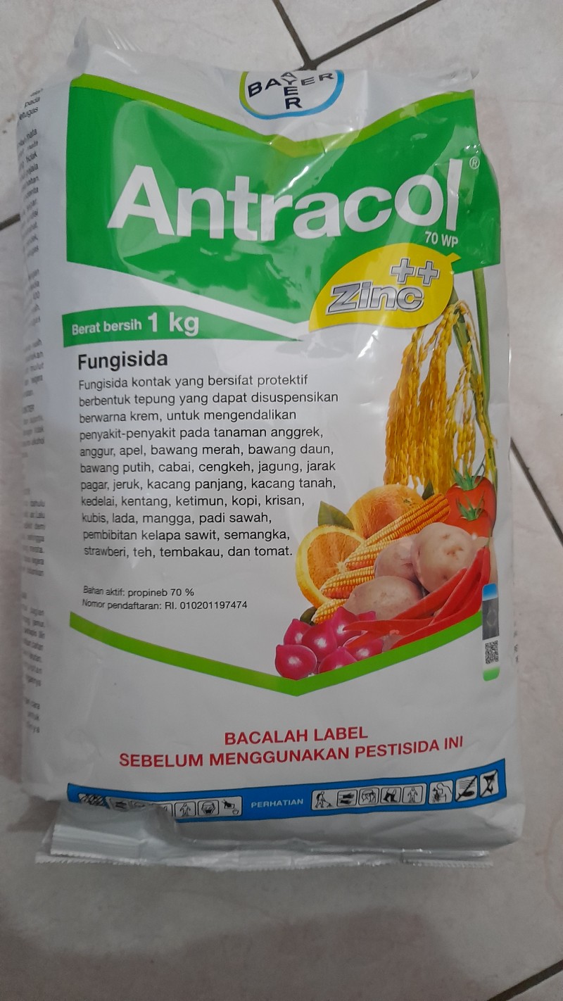 Antracol