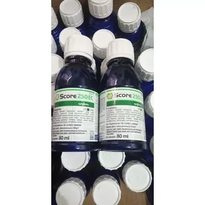 Score 80 ml