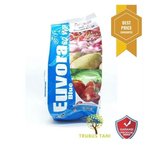 EUVORA