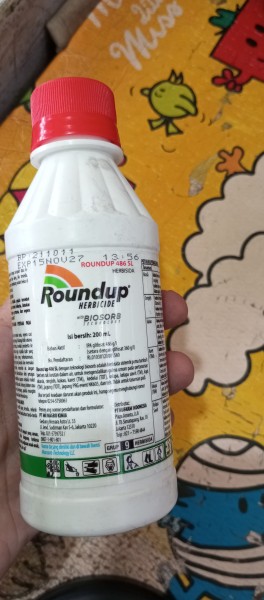 Roundup