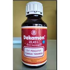DEKAMON
