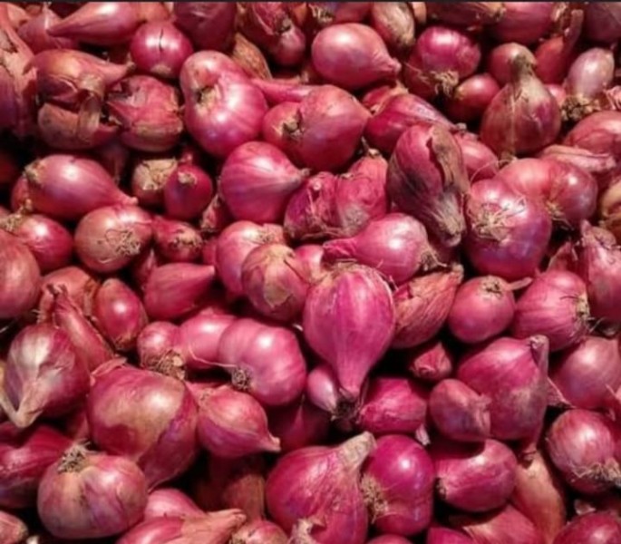 bawang merah