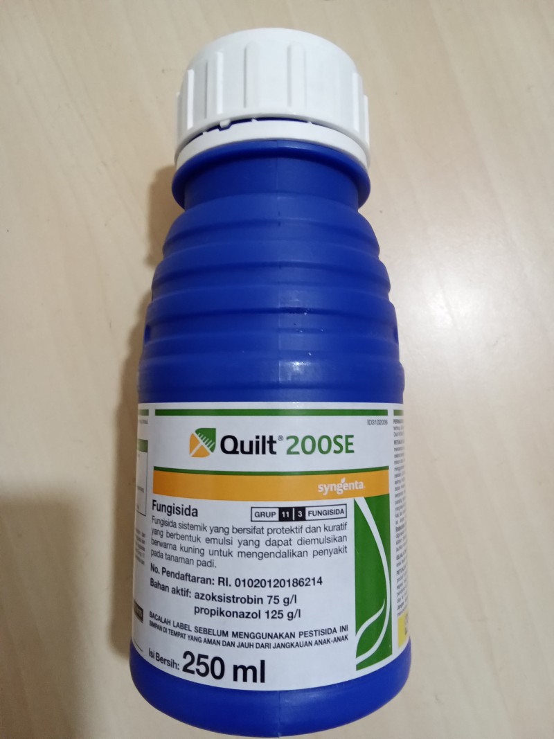 Quilt  200SE
