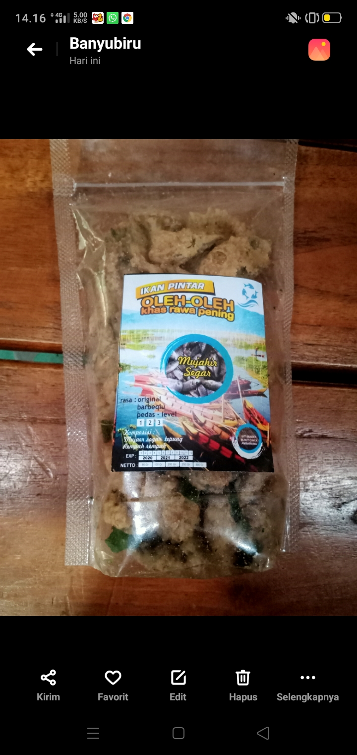 mujahir crispy