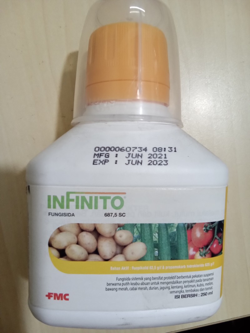 Infinito 687,5 sc