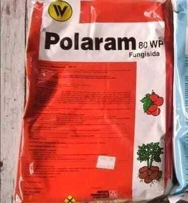 POLARAM KUNING