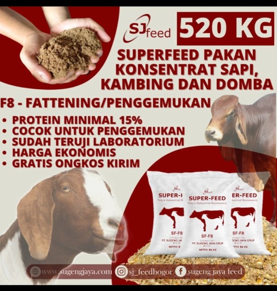 Konsentrat Kambing