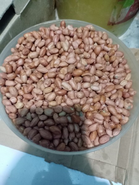 Kacang Brul