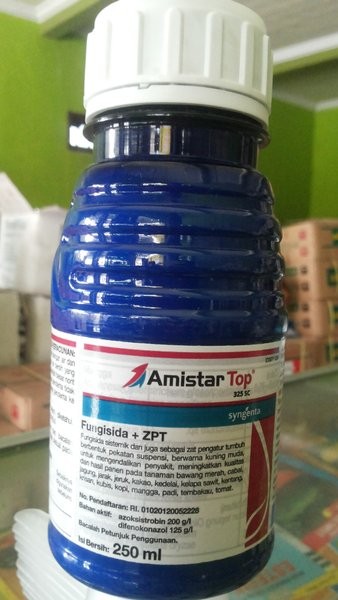Amistar Top