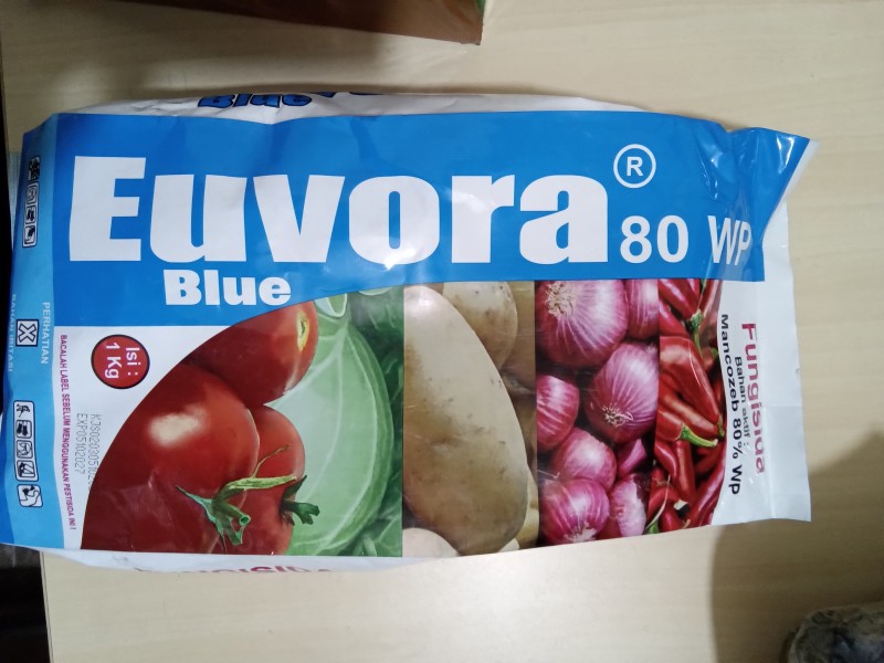 Euvora blue