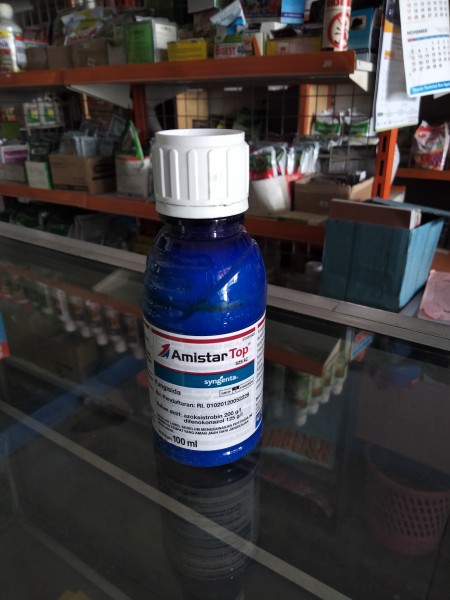 Amistar Top 100 ml